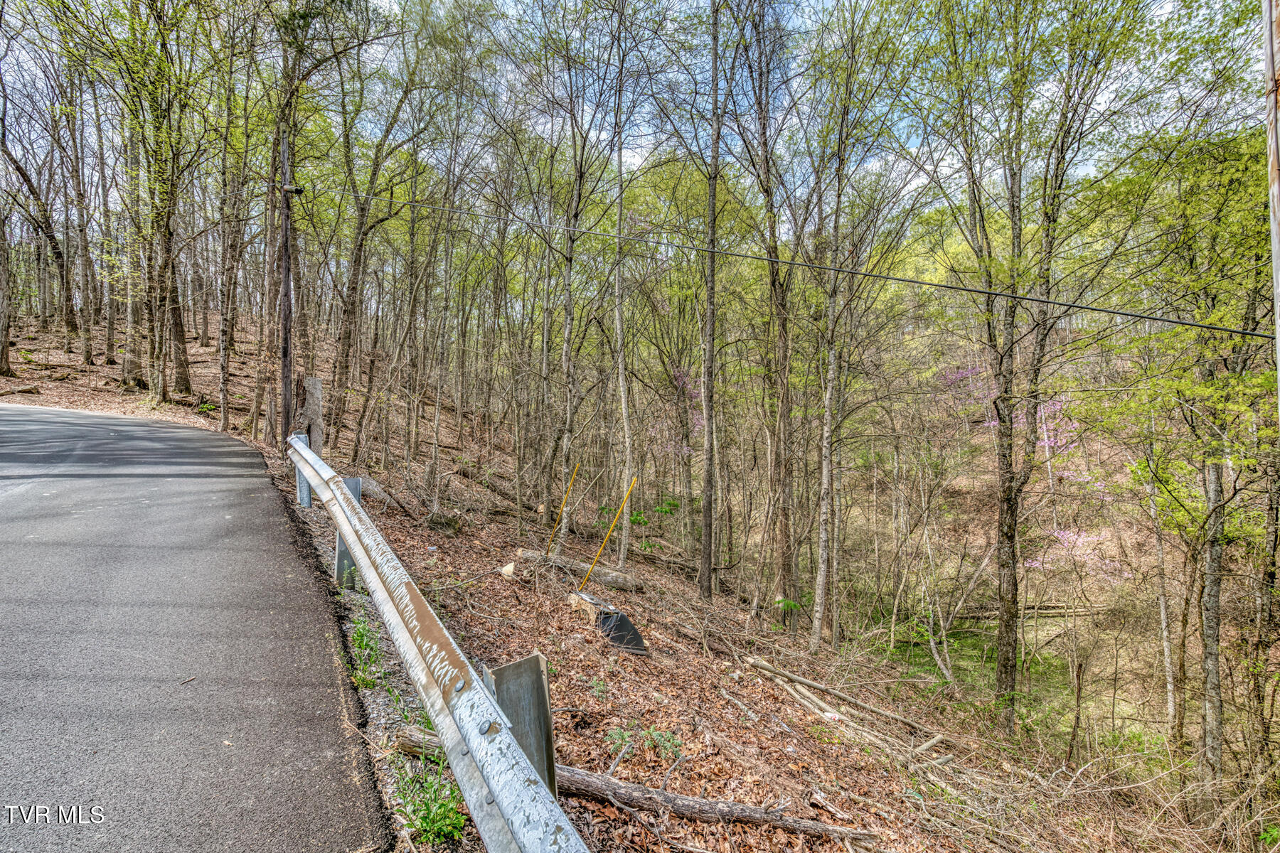 635 Harbor Springs Road, Kingsport, Tennessee image 10
