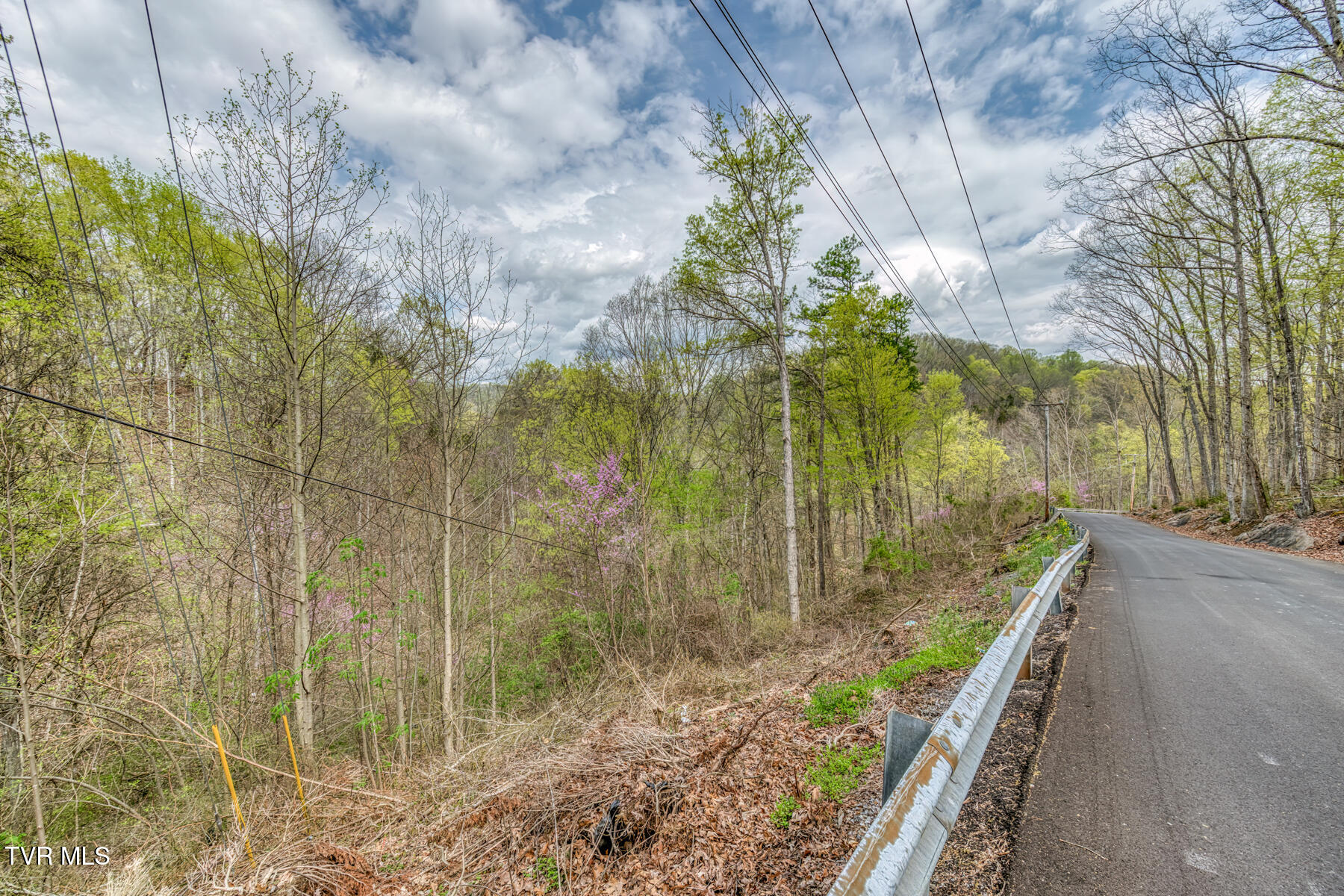 635 Harbor Springs Road, Kingsport, Tennessee image 9