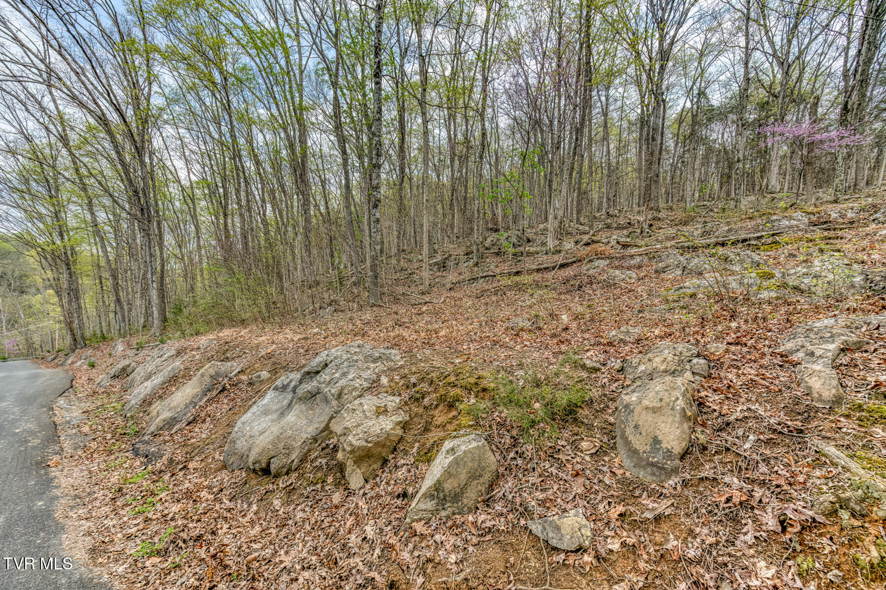 635 Harbor Springs Road, Kingsport, Tennessee image 4