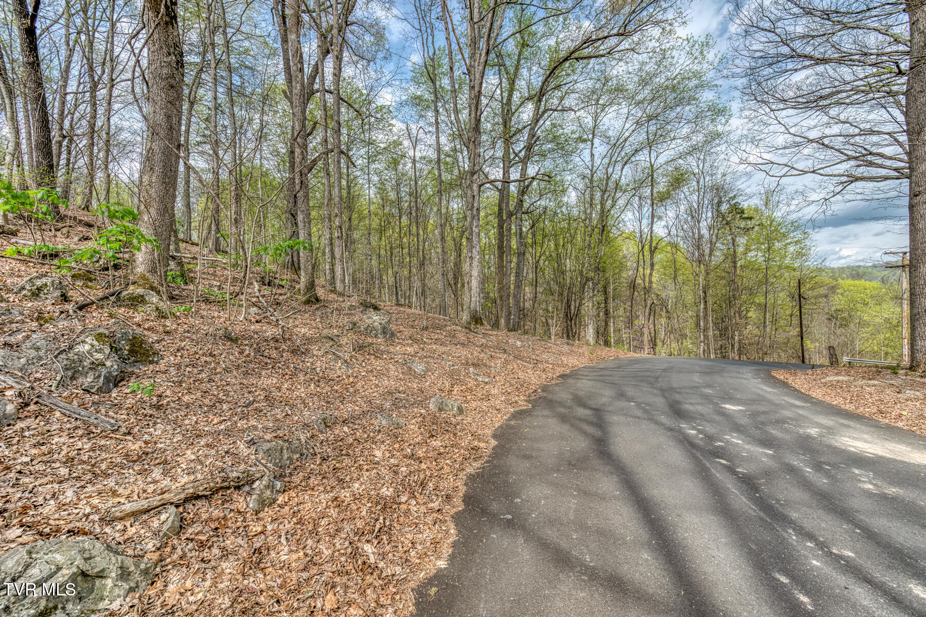 635 Harbor Springs Road, Kingsport, Tennessee image 7