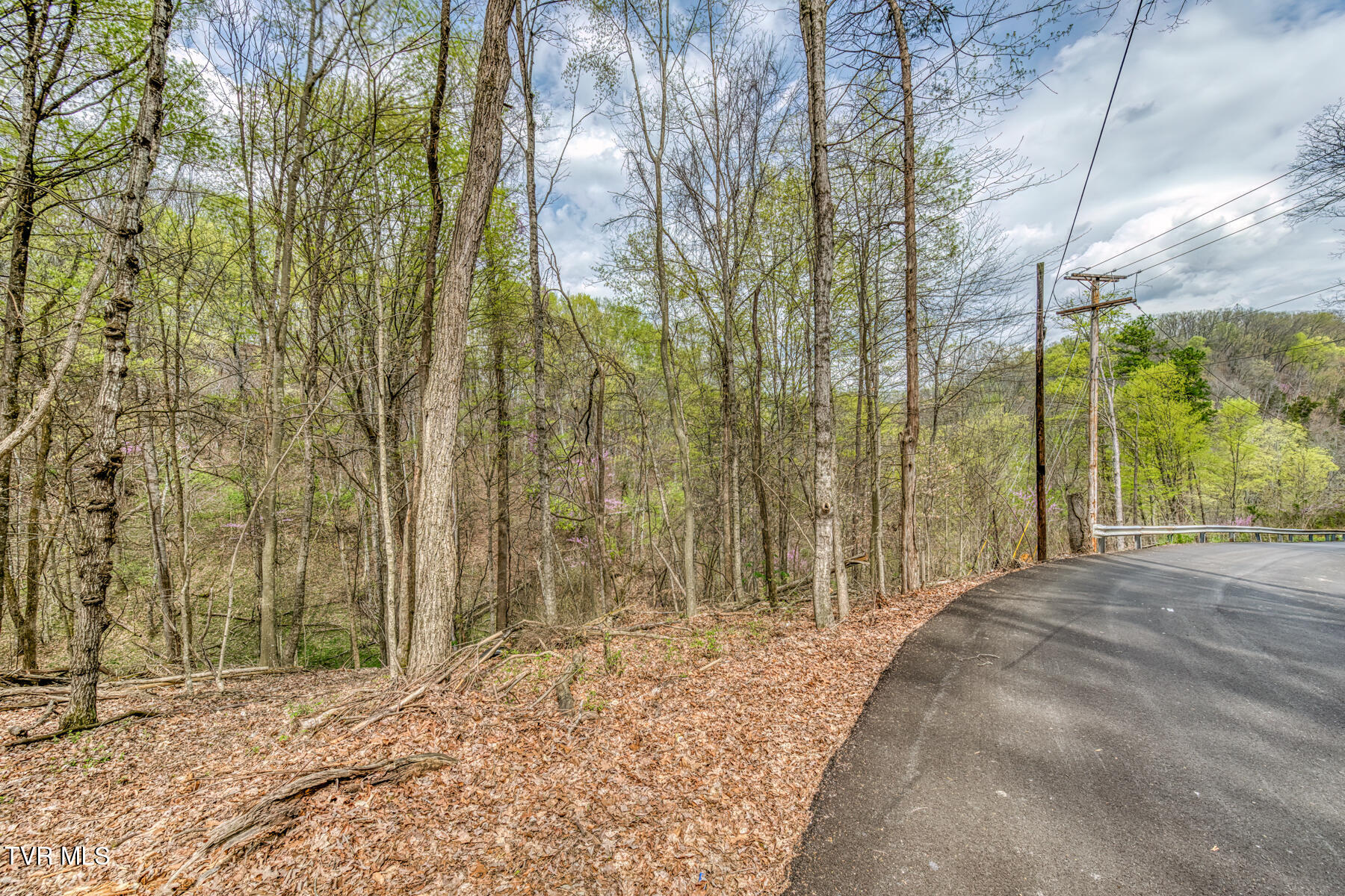 635 Harbor Springs Road, Kingsport, Tennessee image 8