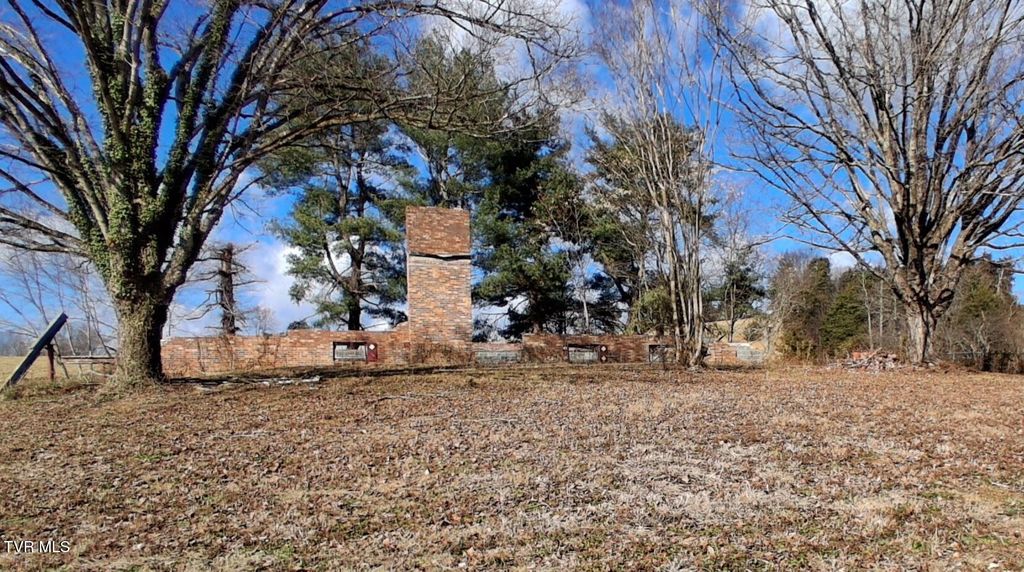 Photo of 315 Delmer Salts Road, Gray, TN 37615 (MLS # 9989892)