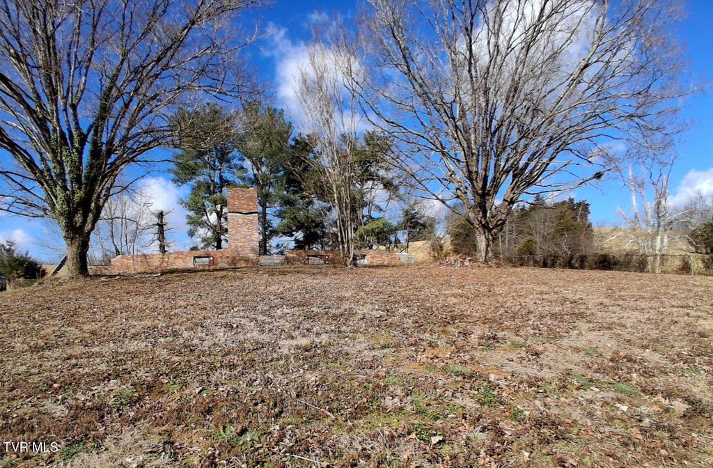 Photo of 315 Delmer Salts Road, Gray, TN 37615 (MLS # 9989892)