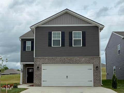 Homes For Sale - 240 Chimney View Loop<br/> Sullivan County County, Blountville, TN 37617