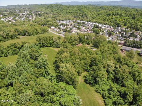Photo of 1325 Old Jonesboro Road, Bristol, TN 37620 (MLS # 9995144)