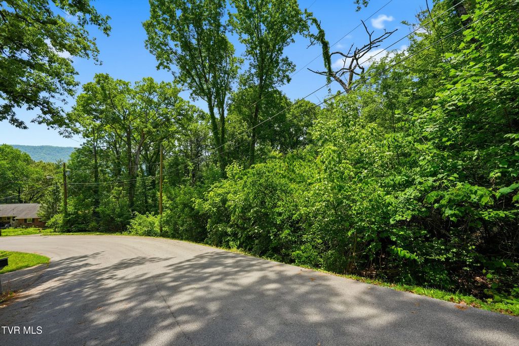 Photo of Tbd Blackheath Road, Kingsport, TN 37660 (MLS # 9995712)