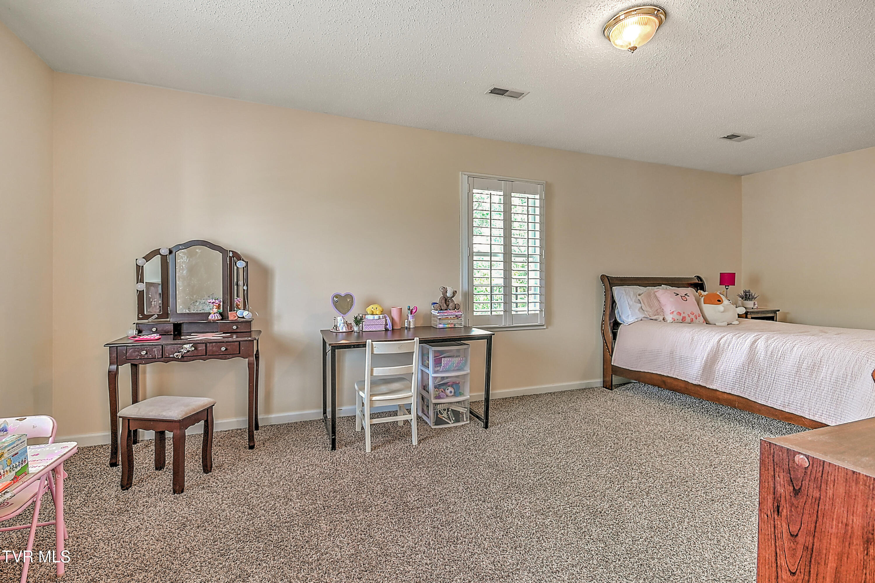 111 Lucille Place, Kingsport, Tennessee image 49