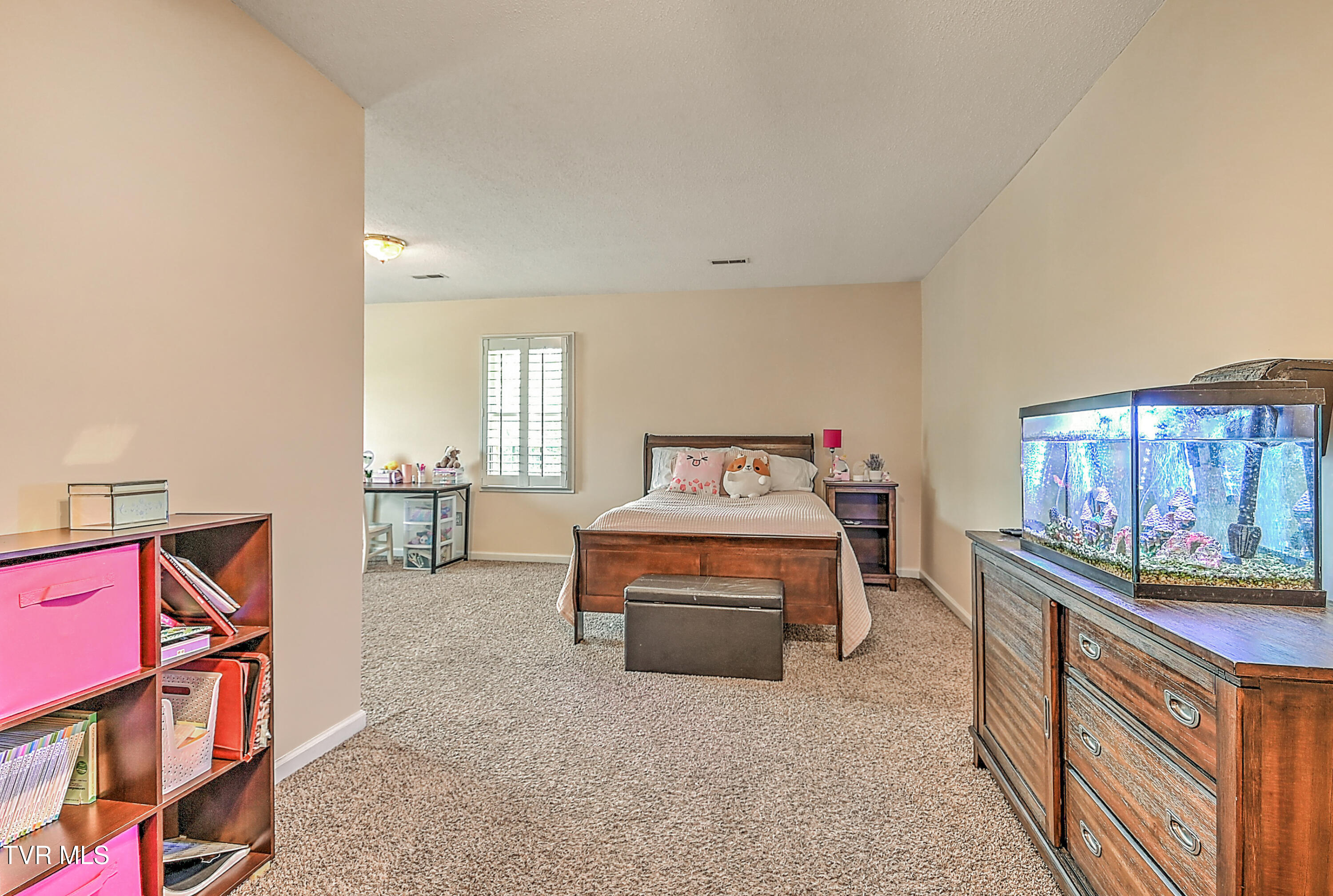 111 Lucille Place, Kingsport, Tennessee image 45