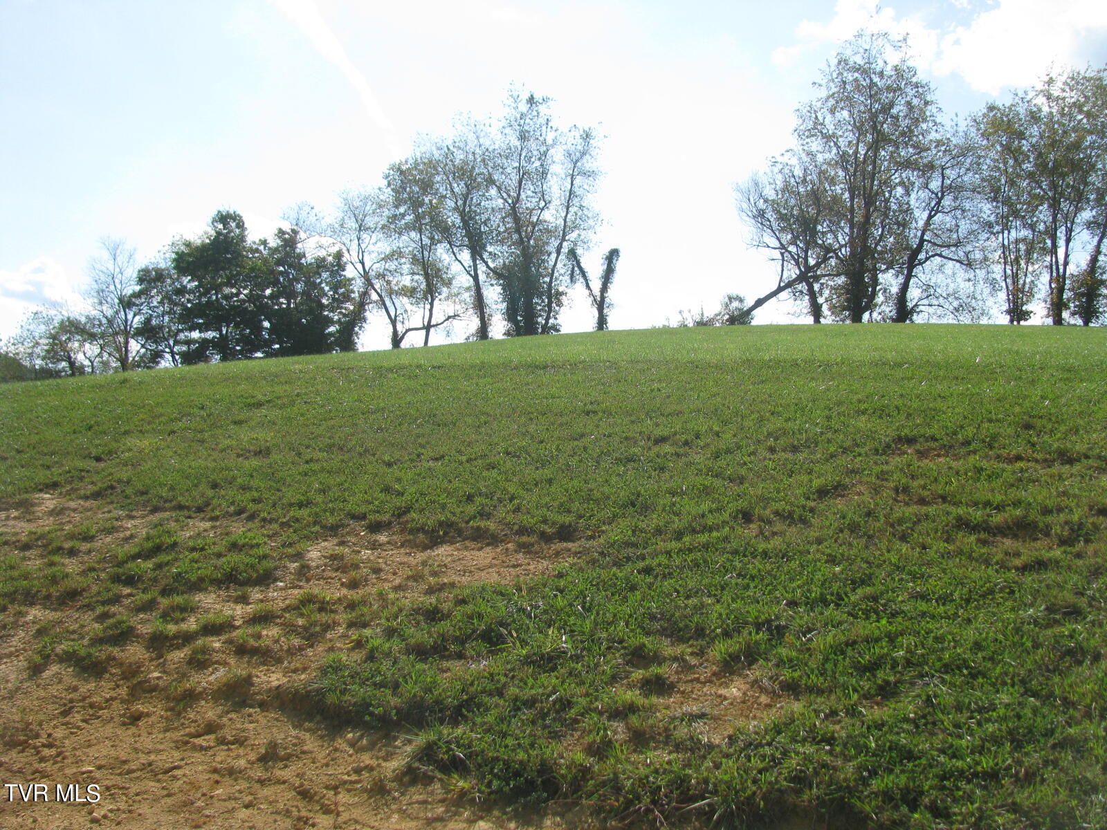 Lot 33 Vineyard Farms Parkway, Butler, Tennessee image 8