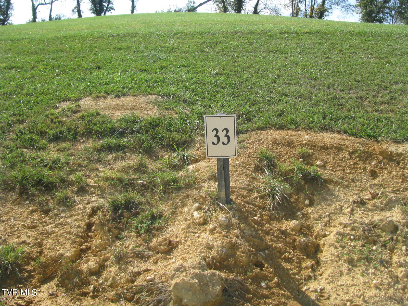 Lot 33 Vineyard Farms Parkway, Butler, Tennessee image 4