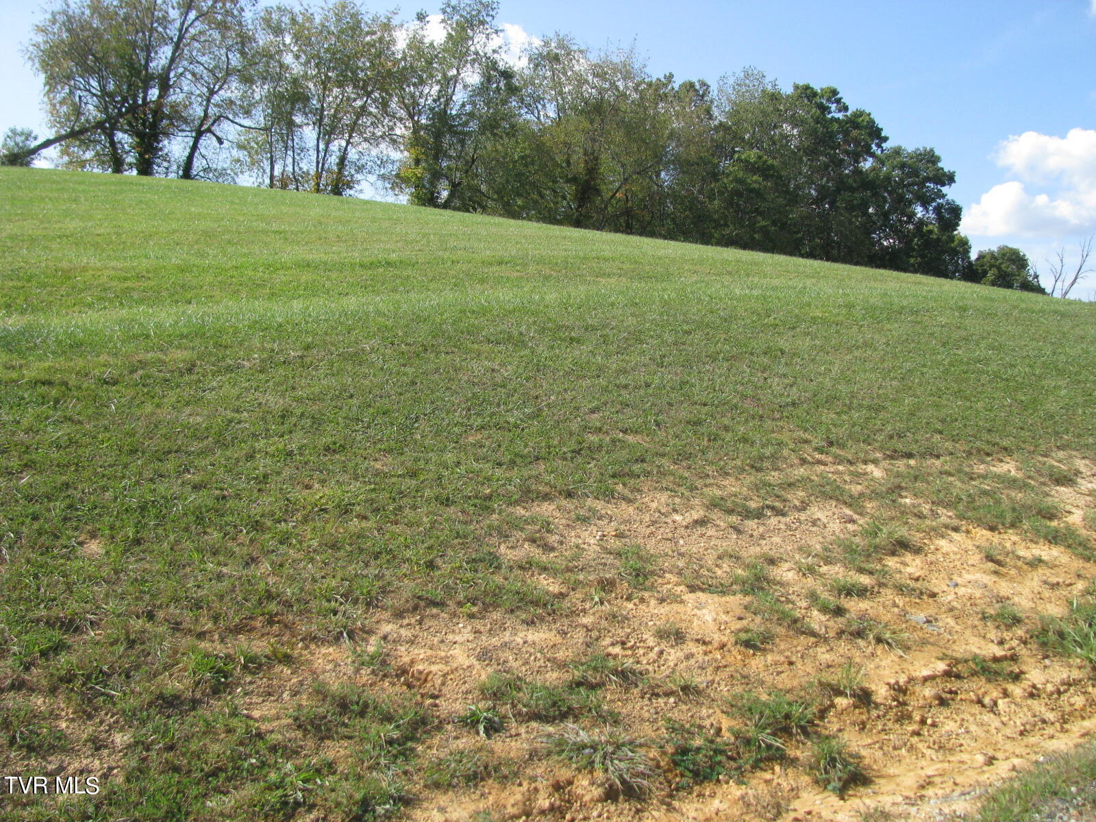 Lot 33 Vineyard Farms Parkway, Butler, Tennessee image 7