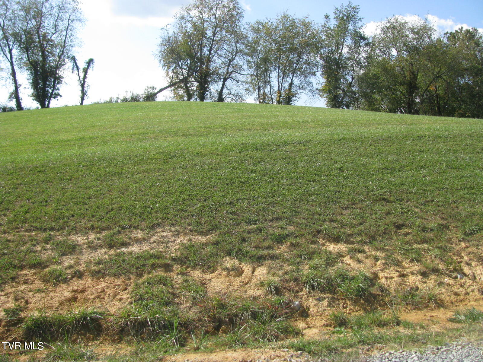 Lot 33 Vineyard Farms Parkway, Butler, Tennessee image 1