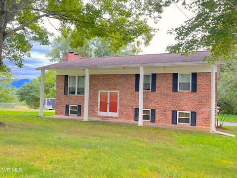 Photo of 90 Veldt Lane, Afton, TN 37616 (MLS # 9986446)