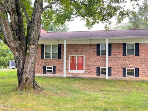 Photo of 90 Veldt Lane, Afton, TN 37616 (MLS # 9986446) Photo of 90 Veldt Lane, Afton, TN 37616 (MLS # 9986446)