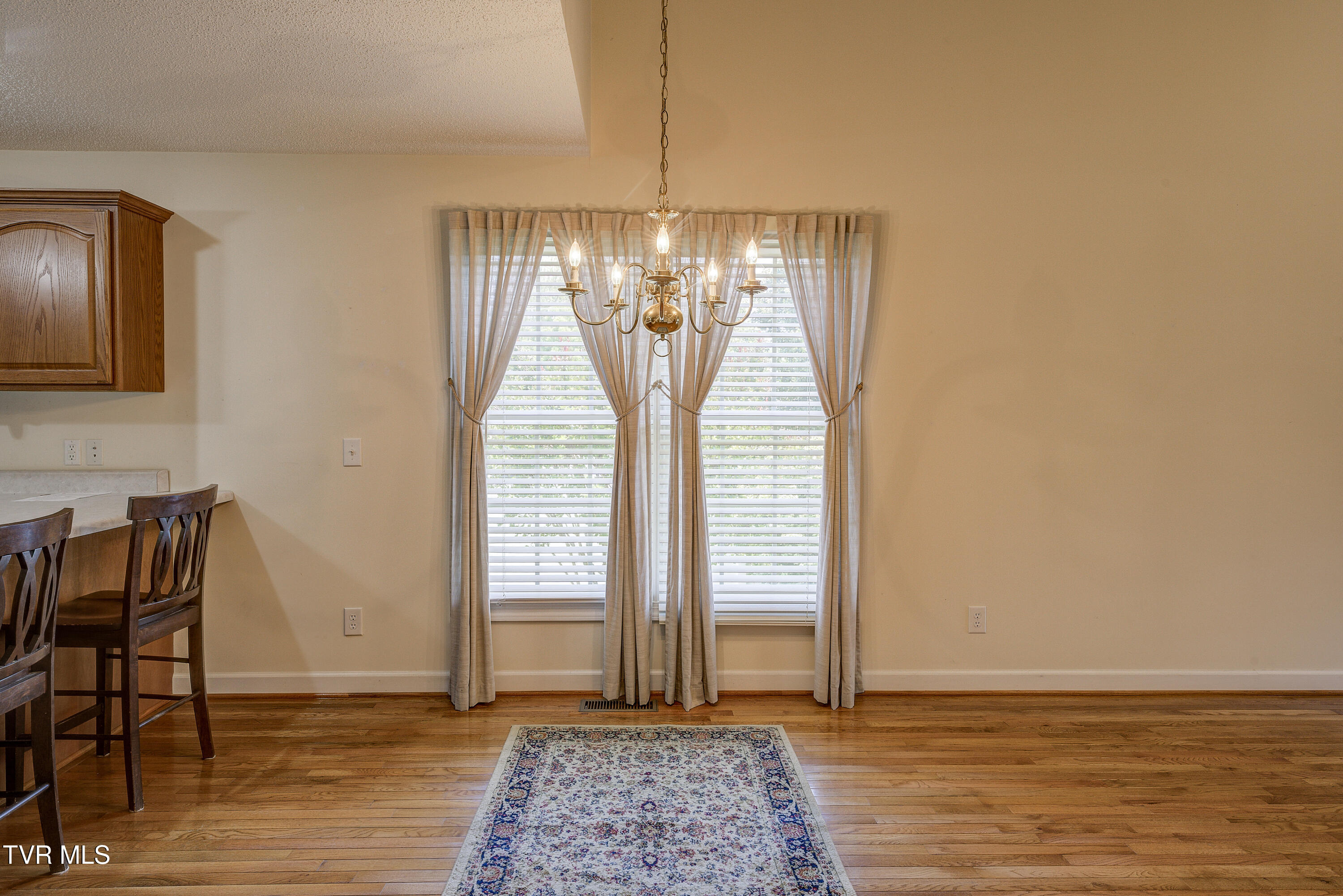 113 Silver Drop Lane, Bristol, Virginia image 11