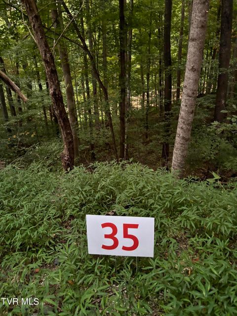 Vacant Land For Sale - 35 Fox Trott Pl<br/> Unicoi County, Unicoi, TN 37692