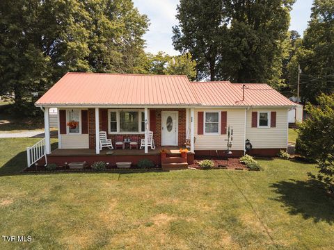 Photo of 139 Miller Avenue, Johnson City, TN 37601 (MLS # 9995520)