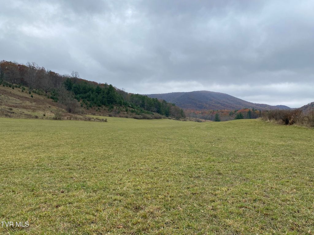 Photo of 214 Comers Creek Road, Sugar Grove, VA 24375 (MLS # 9988209)