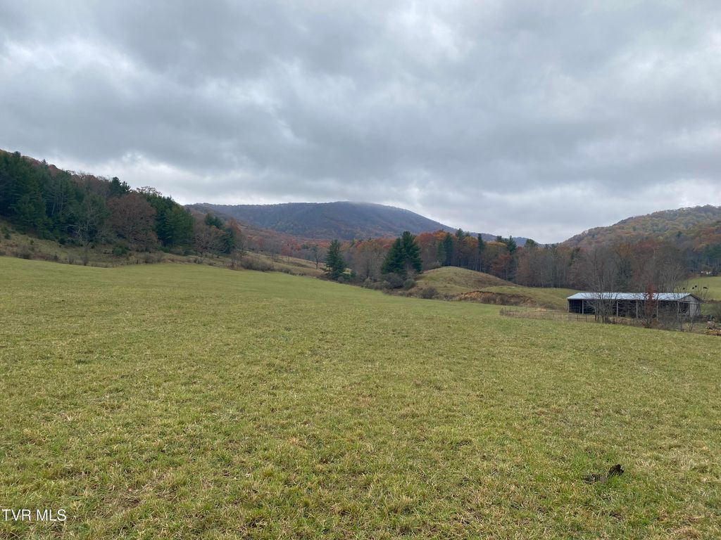 Photo of 214 Comers Creek Road, Sugar Grove, VA 24375 (MLS # 9988209)