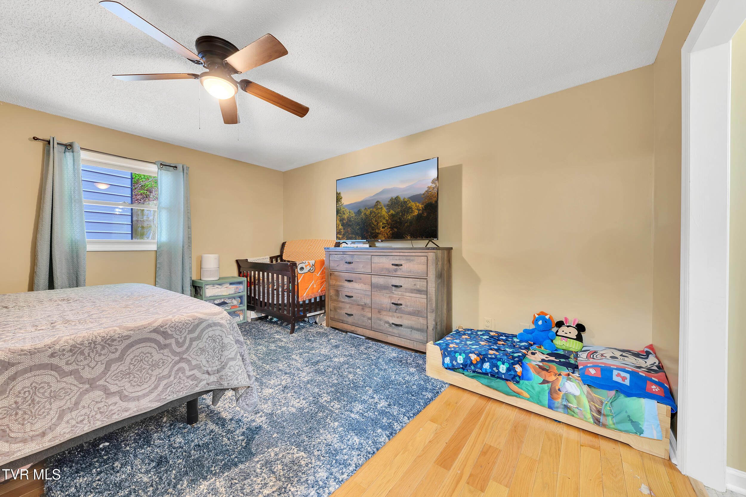 102 Brummett Road, Unicoi, Tennessee image 19