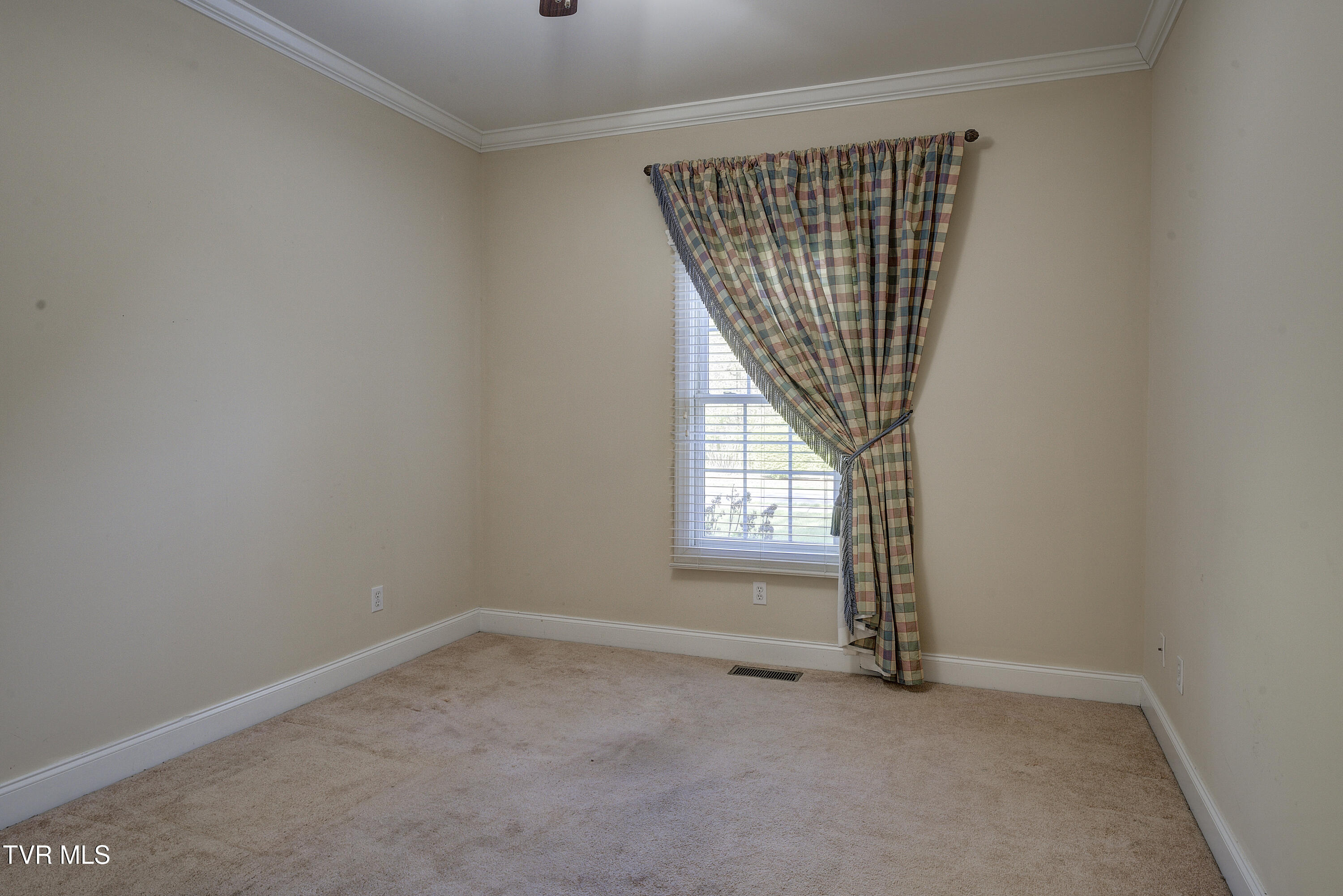 114 Alta Tree Boulevard, Johnson City, Tennessee image 41
