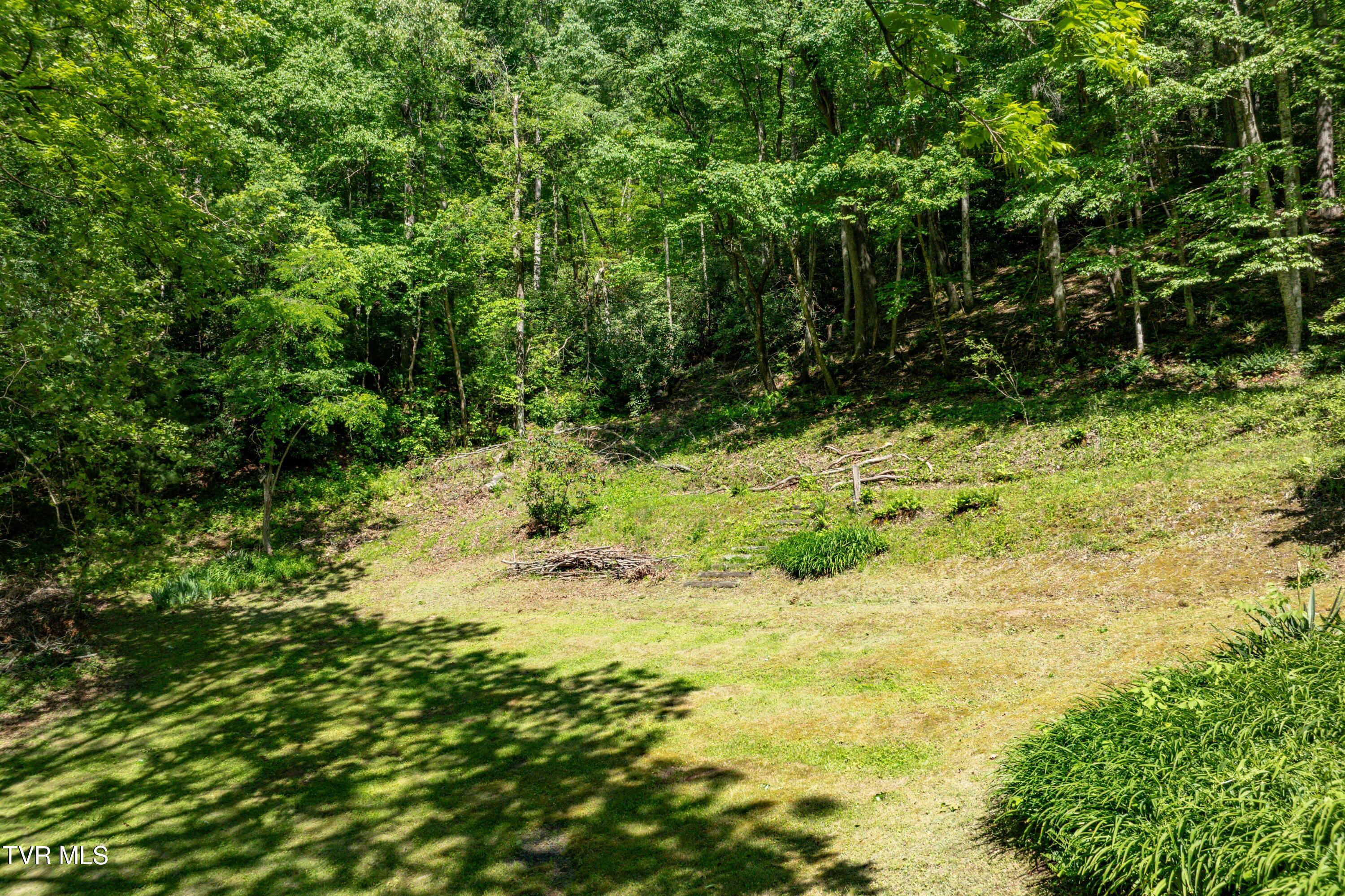 109 Hatley Hollow Road, Butler, Tennessee image 10