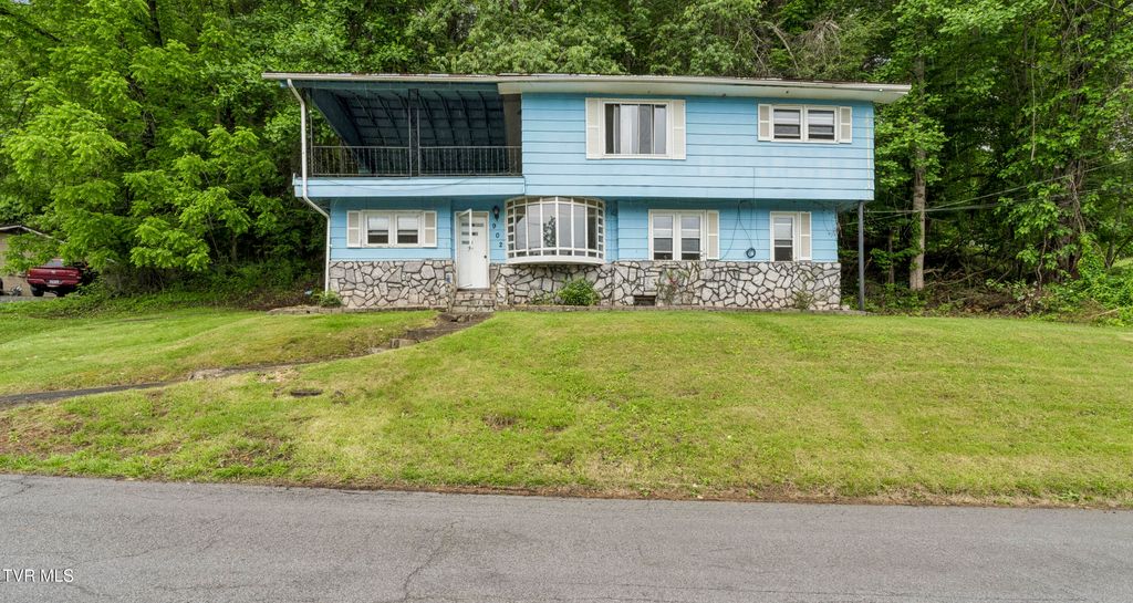 Photo of 902 Diane Avenue, Erwin, TN 37650 (MLS # 9996011)