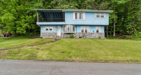 Photo of 902 Diane Avenue, Erwin, TN 37650 (MLS # 9996011)
