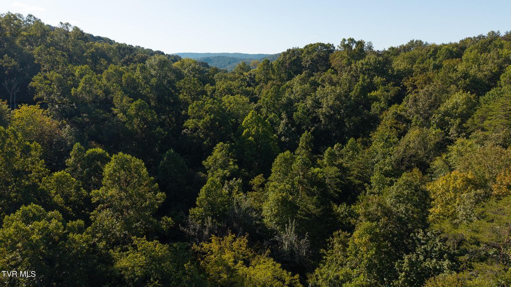Photo of 3238 Off Panther Creek Road, Sneedville, TN 37869 (MLS # 9987102)