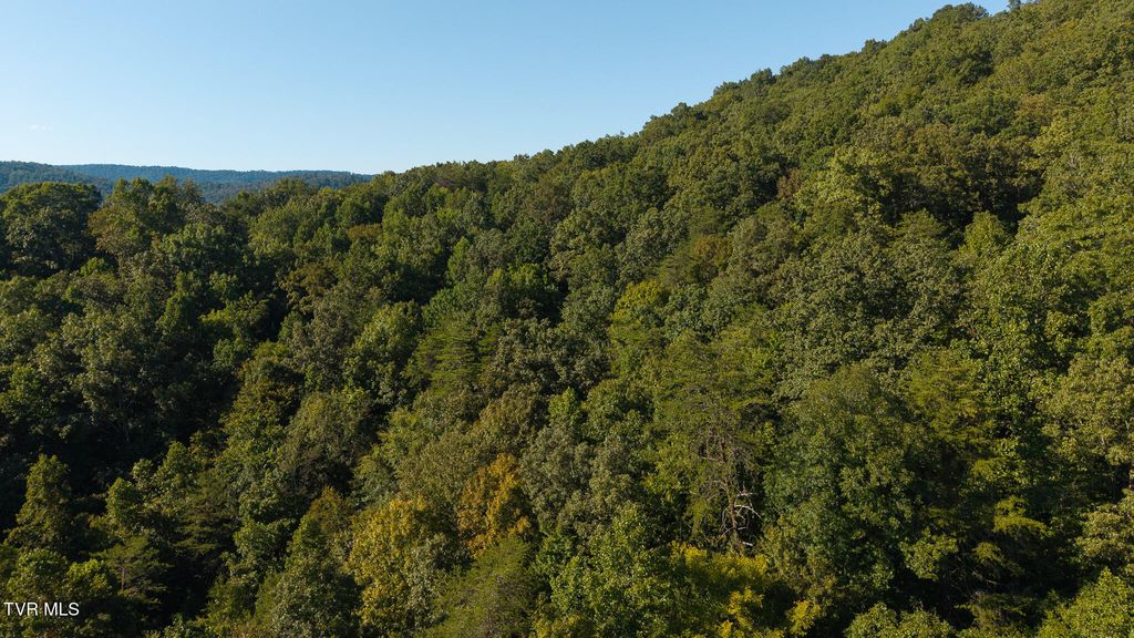 Photo of 3238 Off Panther Creek Road, Sneedville, TN 37869 (MLS # 9987102)
