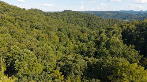 Vacant Land For Sale - 32.38 AC Off Panther Creek Road<br/> Sneedville, TN 37869