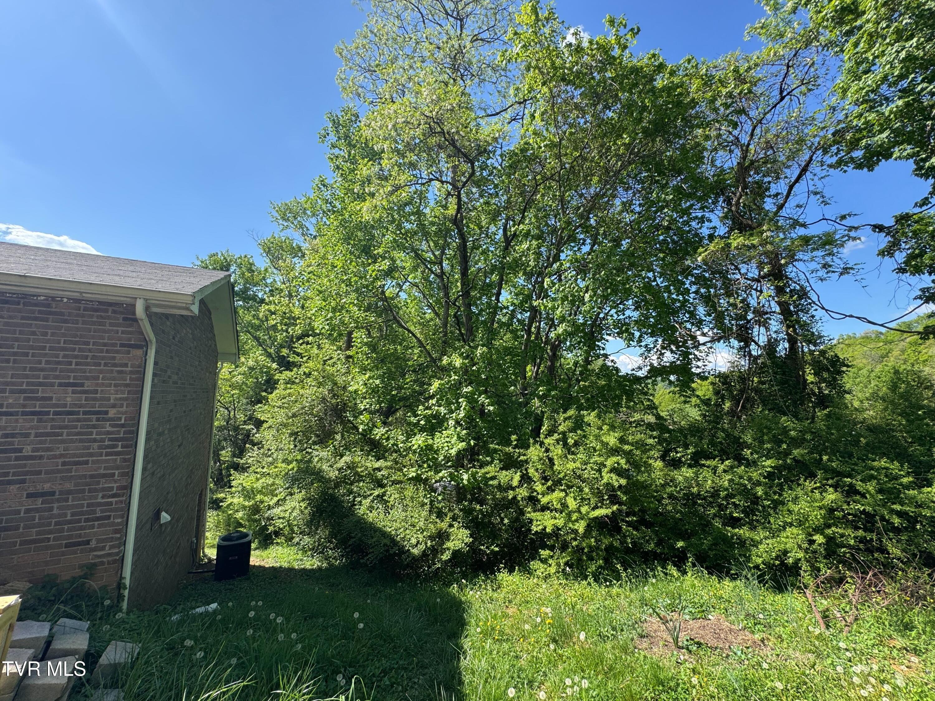 1208 Skelton Bluff Road, Kingsport, Tennessee image 11
