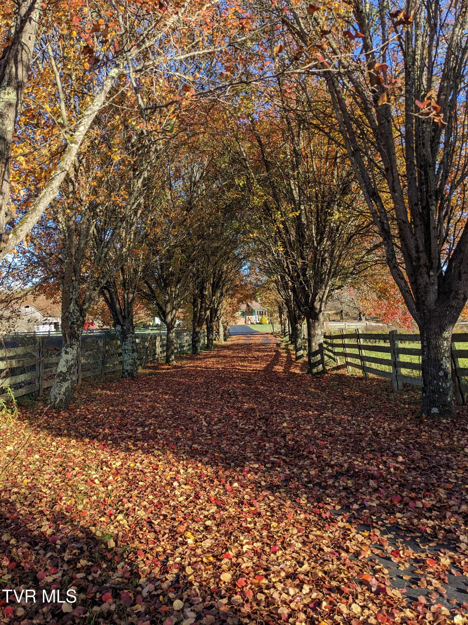 138 J Phillipi Road, Mountain City, Tennessee image 6