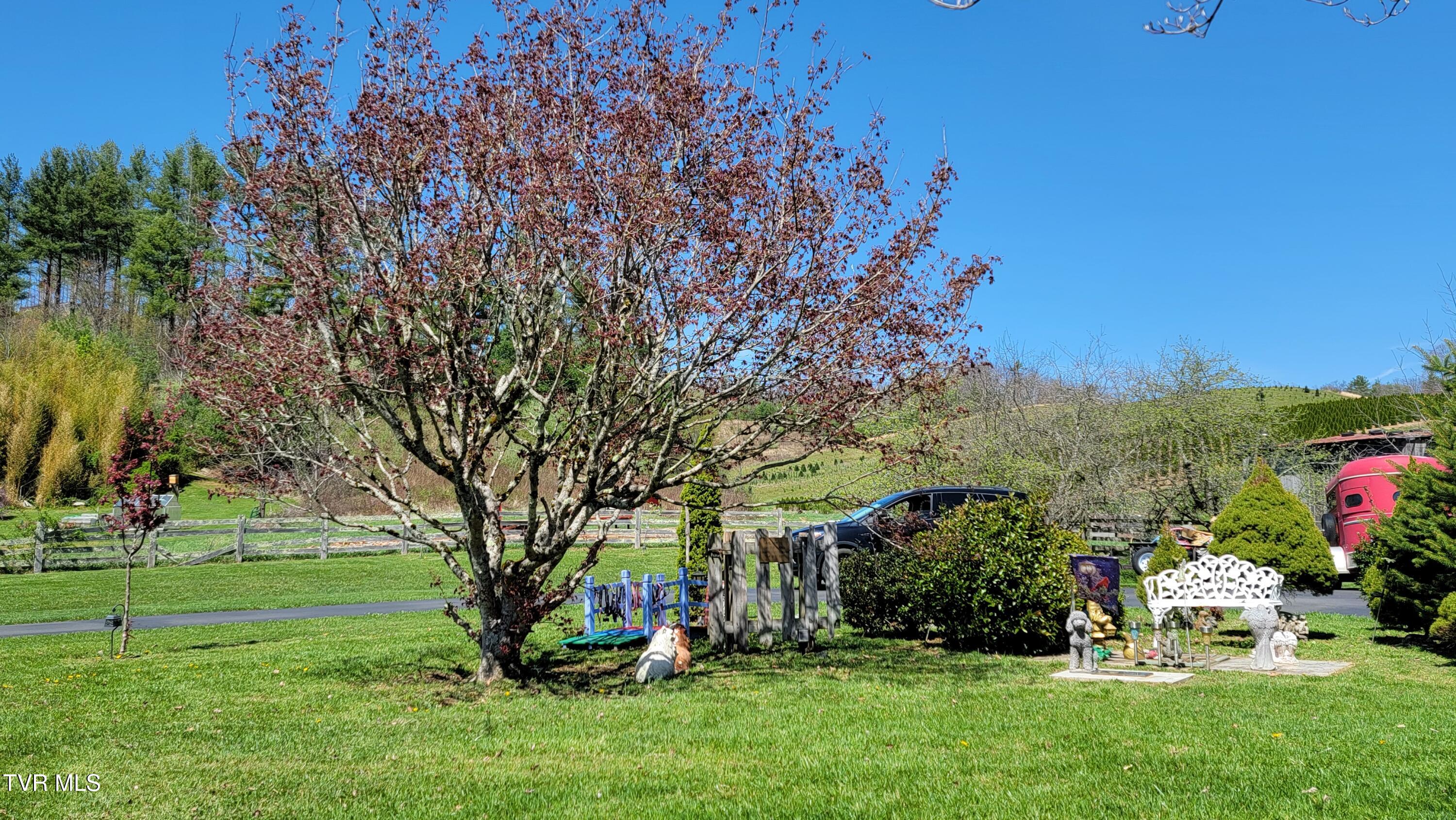 138 J Phillipi Road, Mountain City, Tennessee image 9
