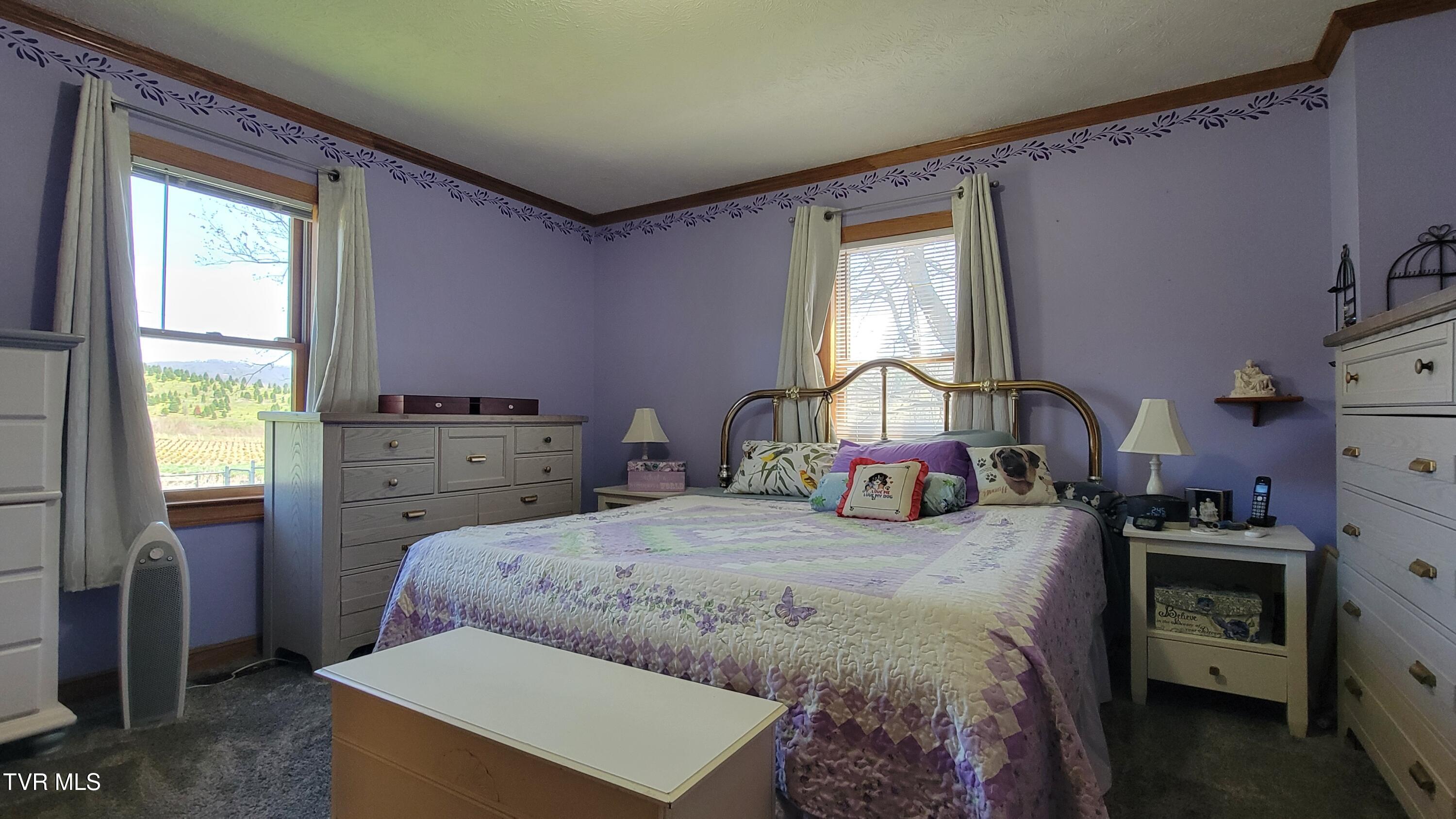 138 J Phillipi Road, Mountain City, Tennessee image 42