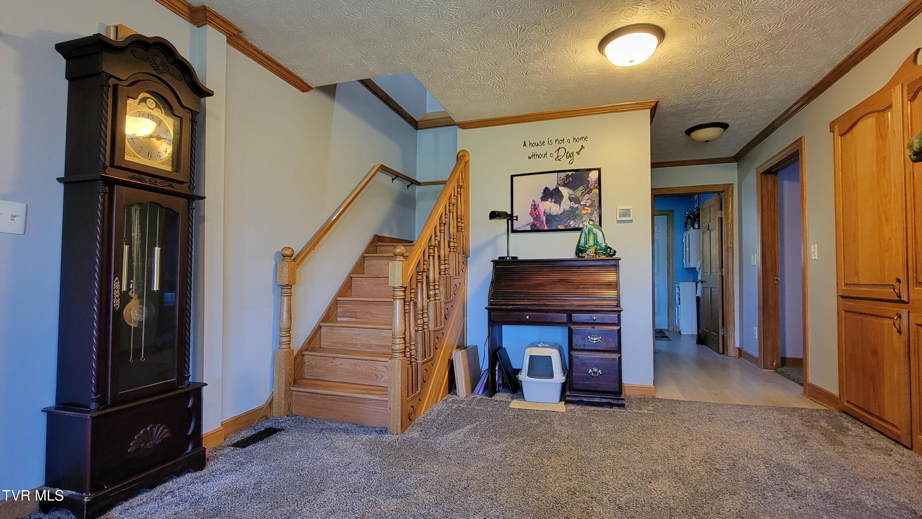 138 J Phillipi Road, Mountain City, Tennessee image 34