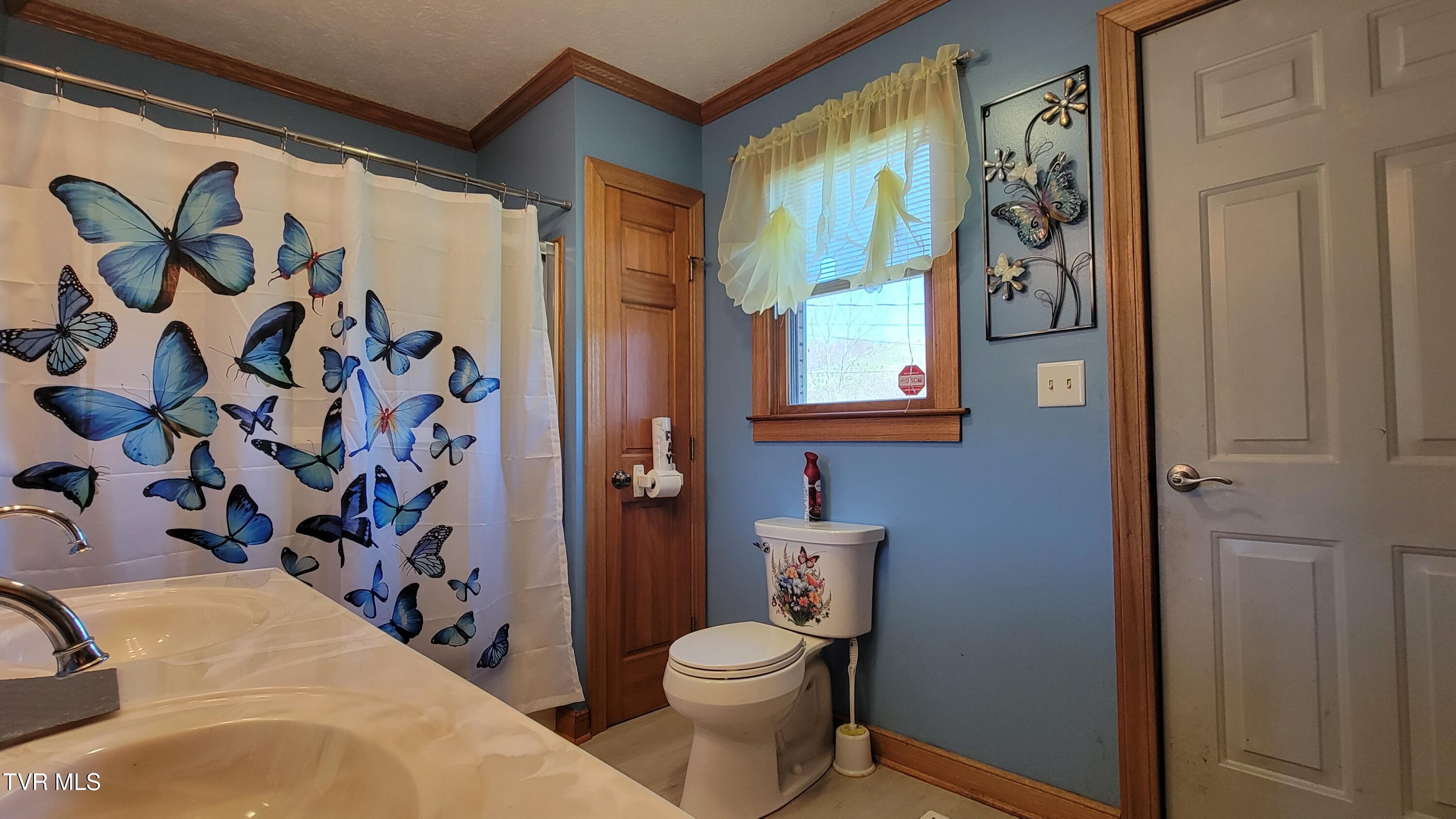 138 J Phillipi Road, Mountain City, Tennessee image 40