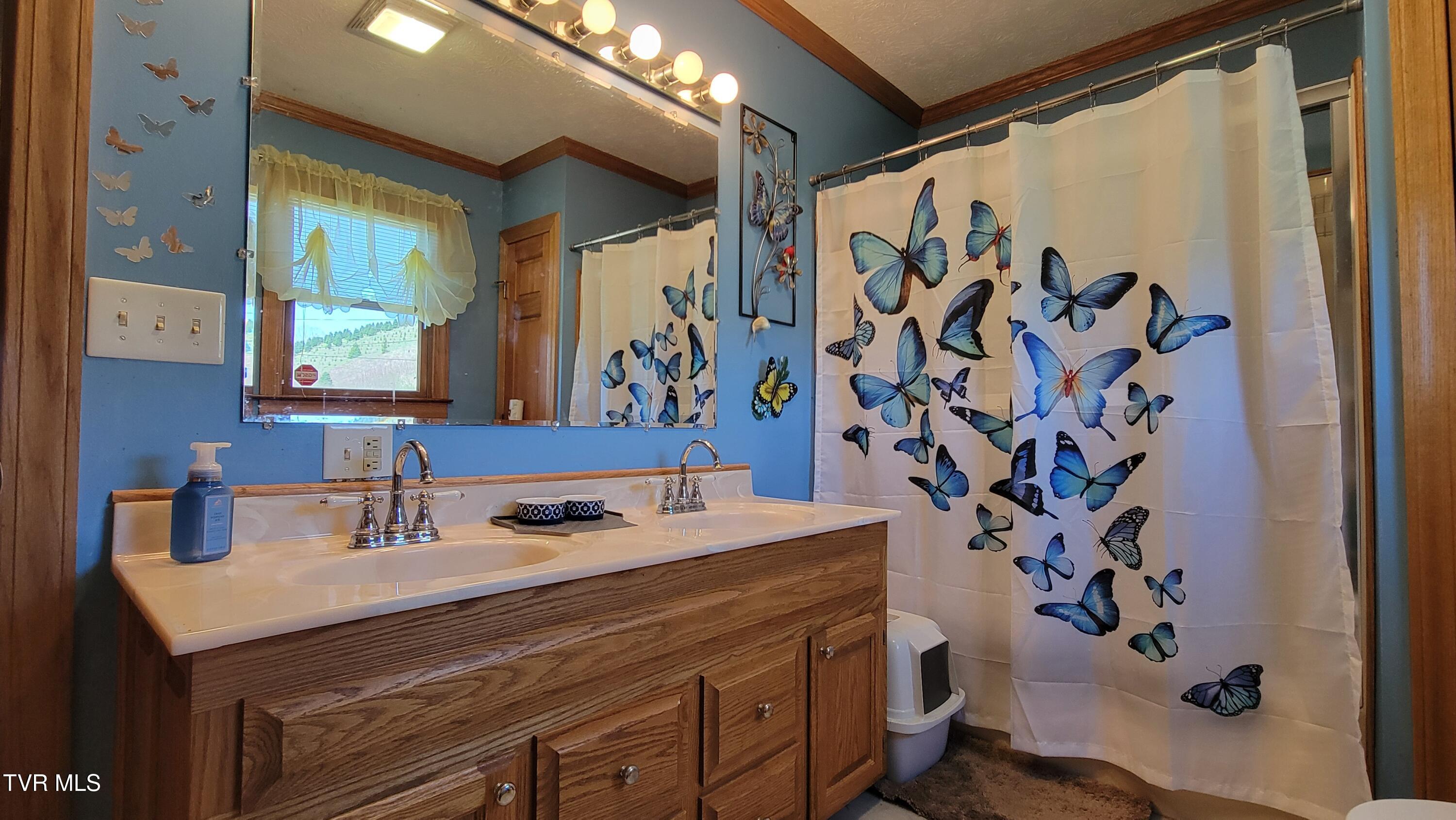 138 J Phillipi Road, Mountain City, Tennessee image 41