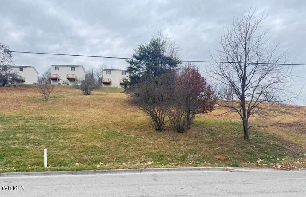Photo of Tbd Clark Street, Abingdon, VA 24210 (MLS # 9992097)