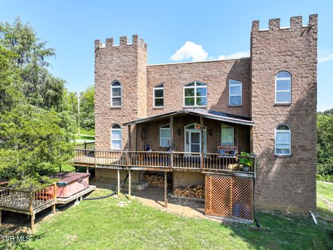 Photo of 1005 Jackson Hollow Road, Mosheim, TN 37818 (MLS # 9994056)