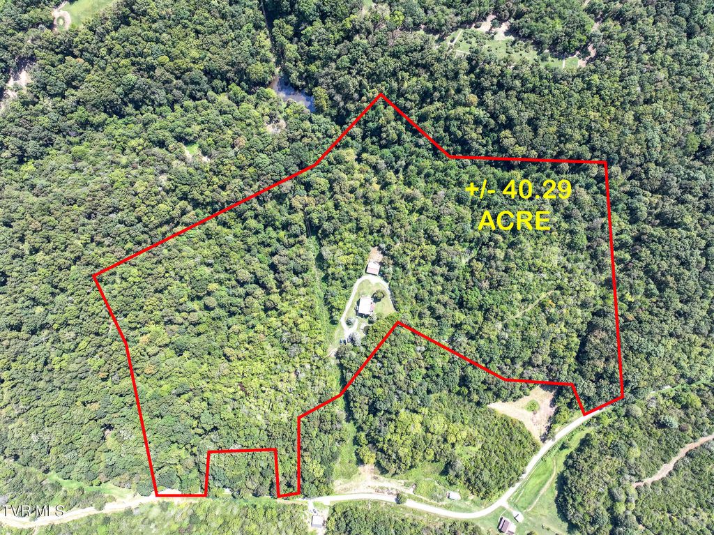 Photo of 1005 Jackson Hollow Road, Mosheim, TN 37818 (MLS # 9994056)