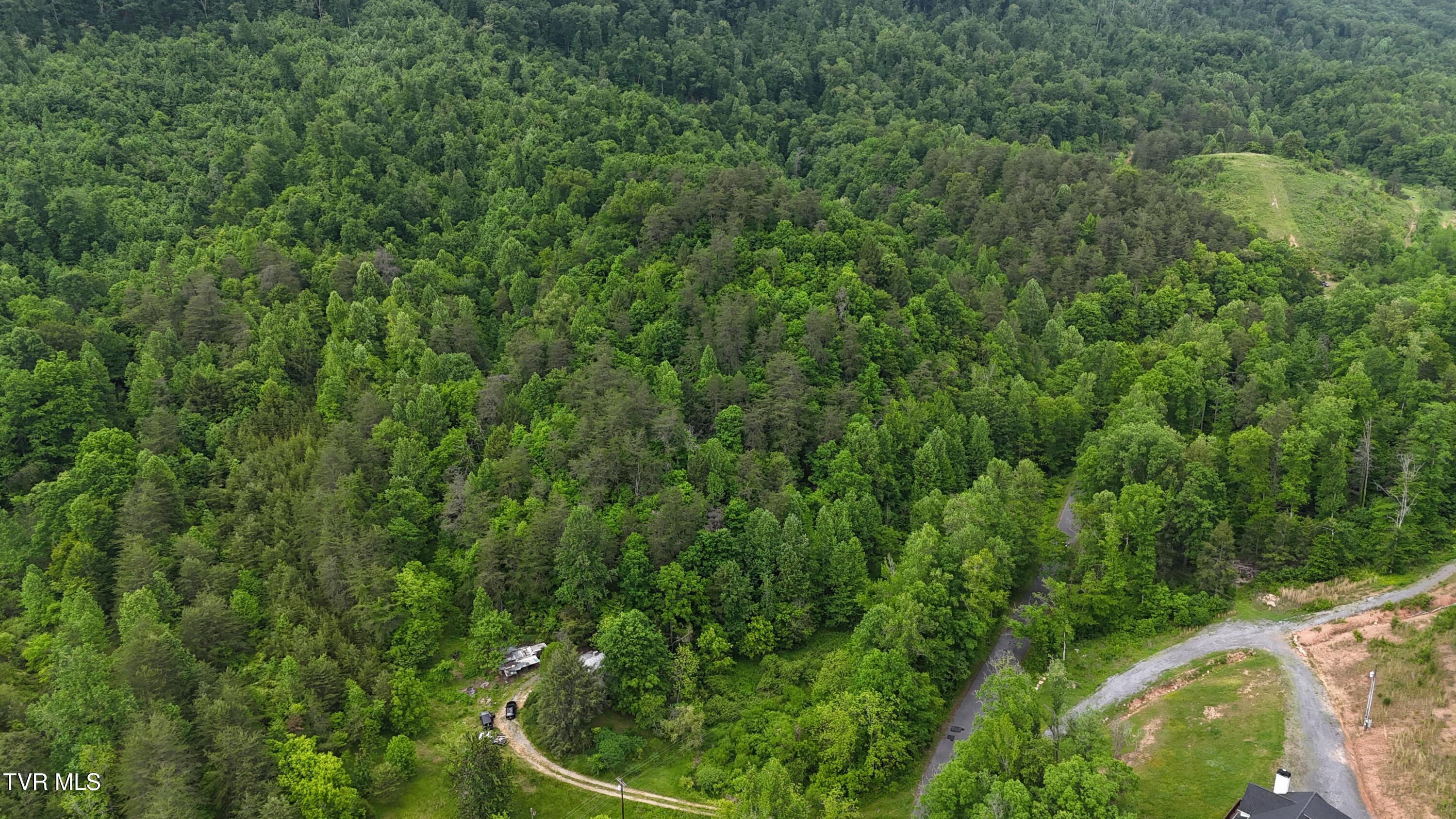 289 Early Branch Road, Rogersville, Tennessee image 29