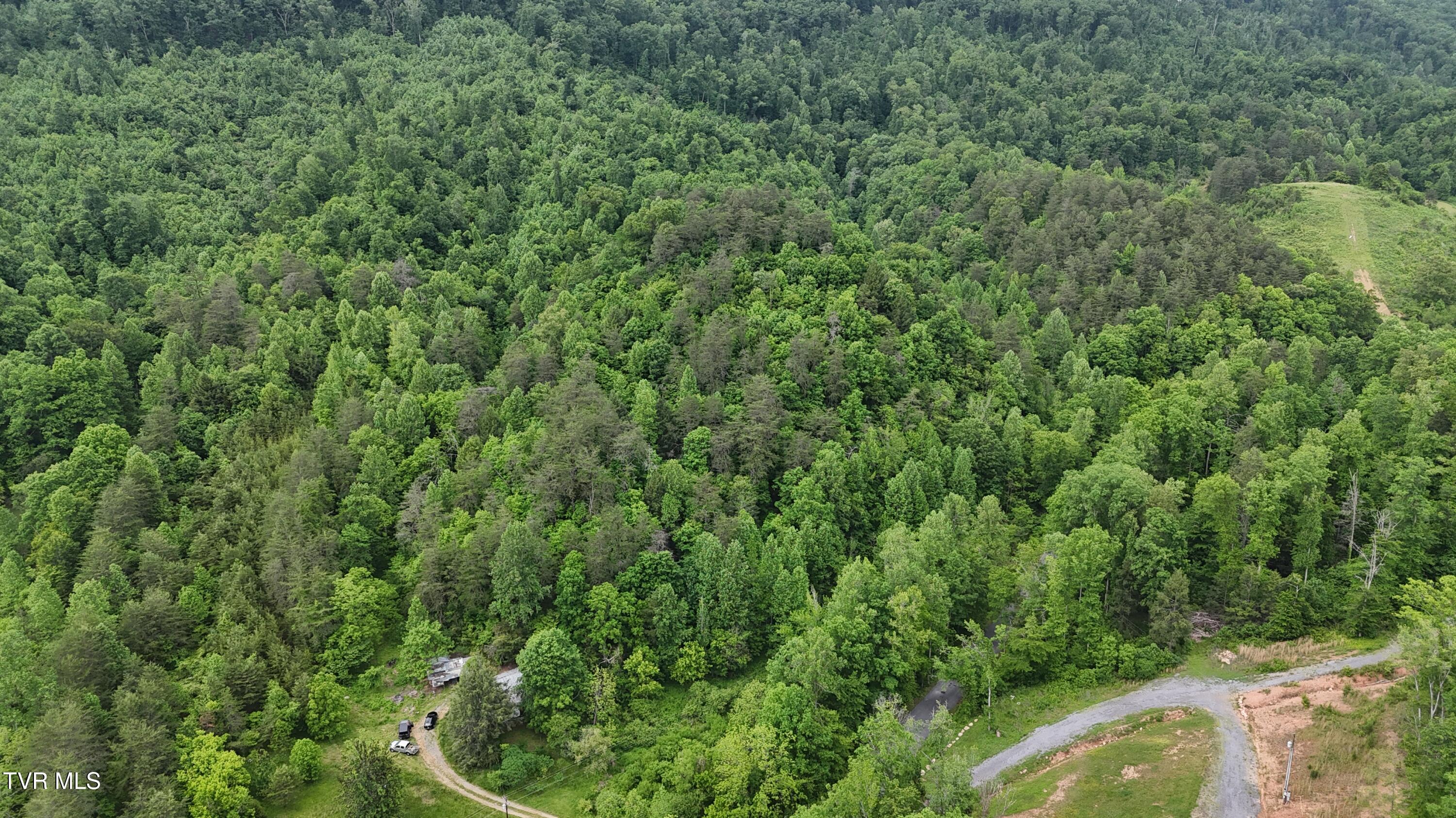 289 Early Branch Road, Rogersville, Tennessee image 31