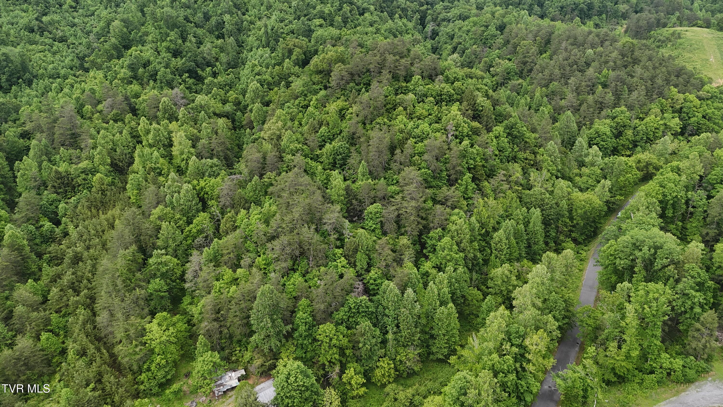 289 Early Branch Road, Rogersville, Tennessee image 26