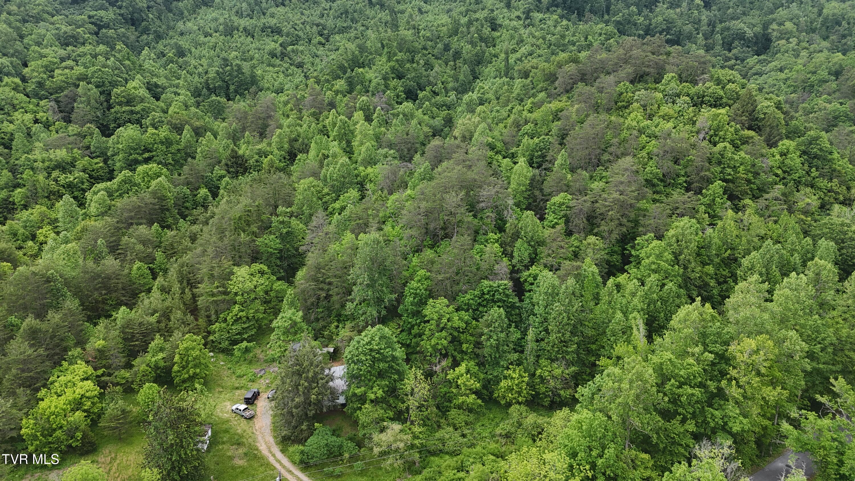 289 Early Branch Road, Rogersville, Tennessee image 34
