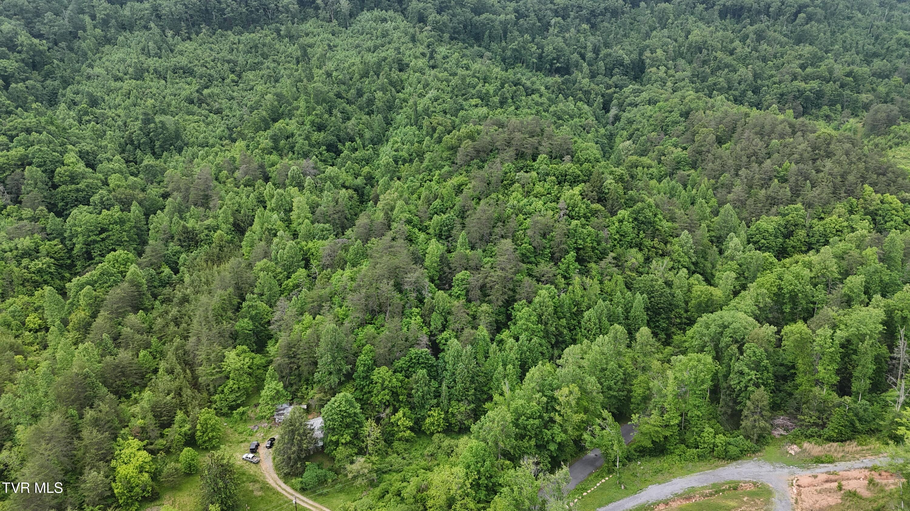 289 Early Branch Road, Rogersville, Tennessee image 32