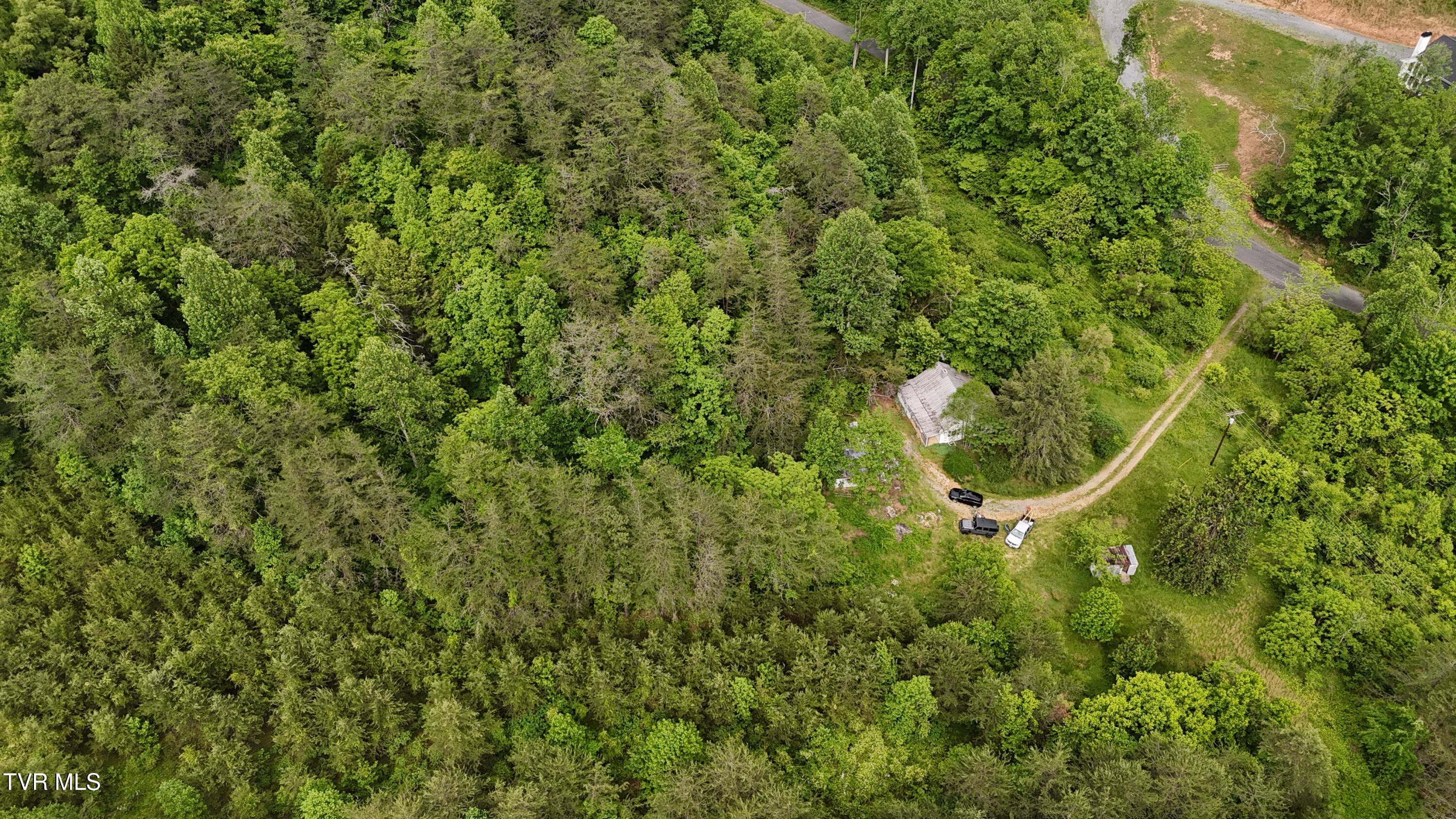 289 Early Branch Road, Rogersville, Tennessee image 19