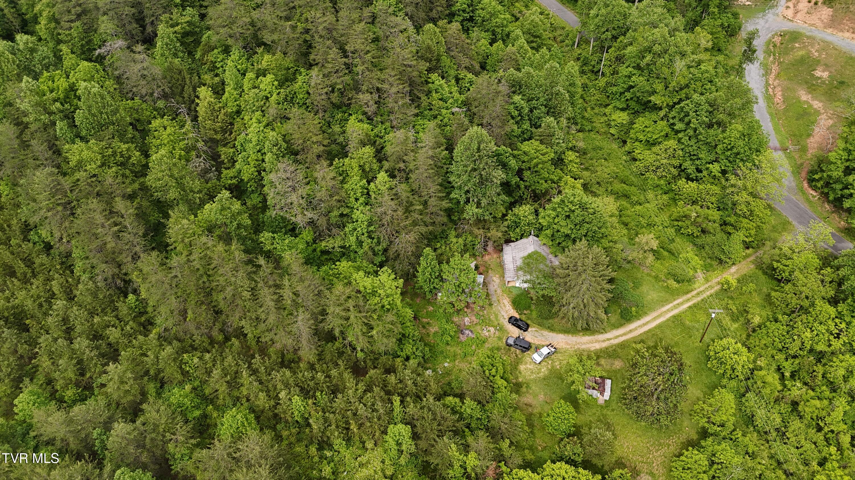 289 Early Branch Road, Rogersville, Tennessee image 20