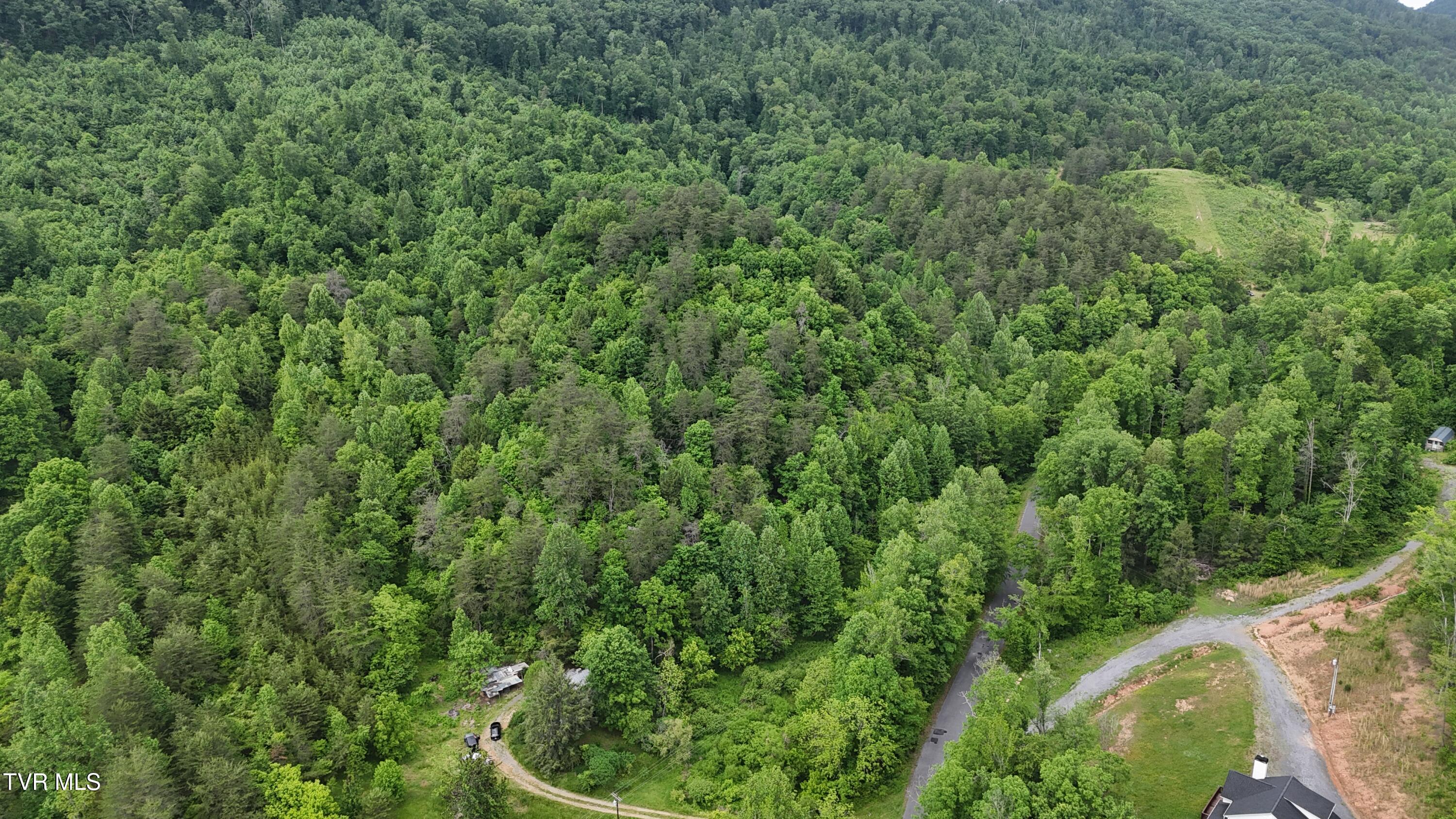 289 Early Branch Road, Rogersville, Tennessee image 30