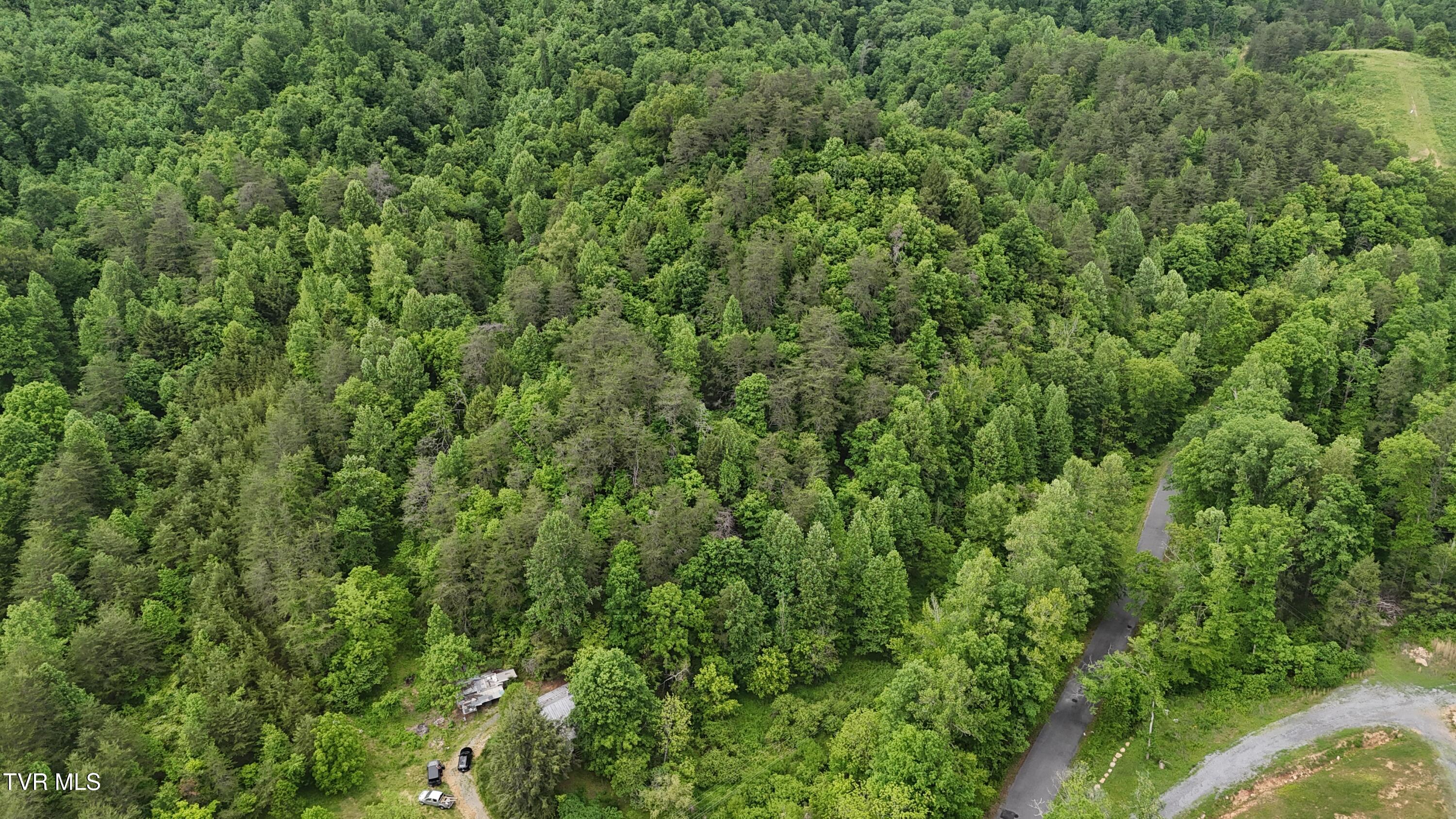 289 Early Branch Road, Rogersville, Tennessee image 27